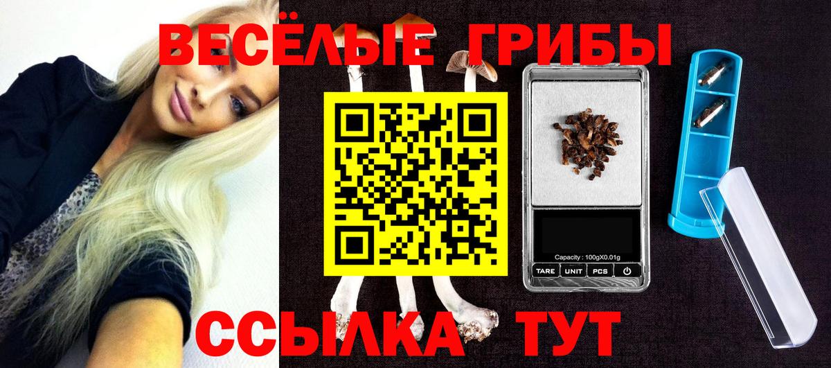 Урус-Мартан  Псилоцибиновые грибы прущие грибы  Вход с VPN 