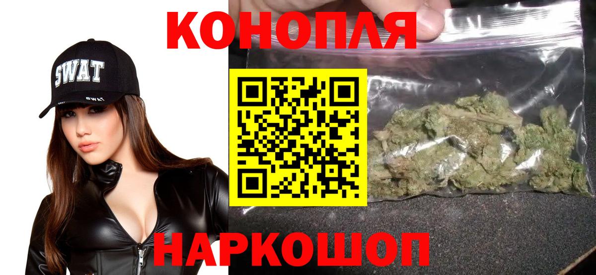 Канабис сатива Урус-Мартан